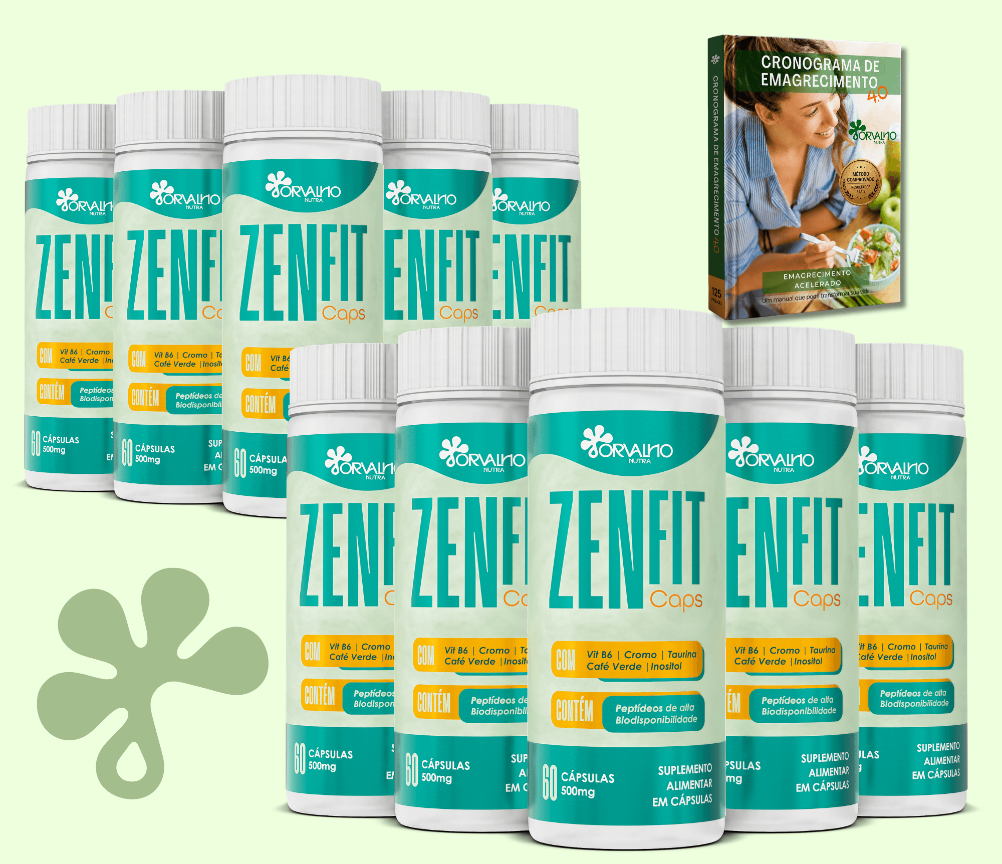 Kit com 10 frascos de ZenFIT Caps